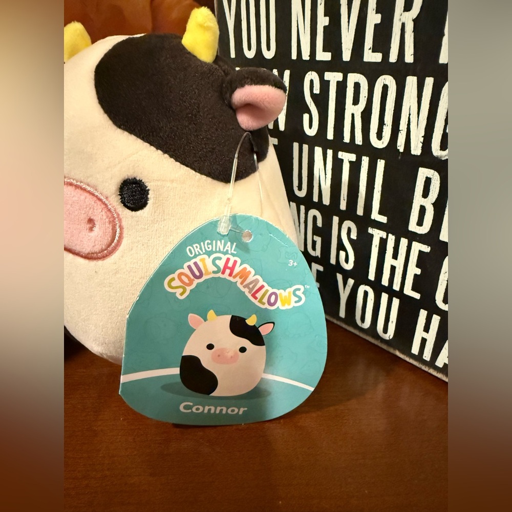 Squishmallows Black and White Cow & Pink Bug Plush Set - Picture 3 of 5